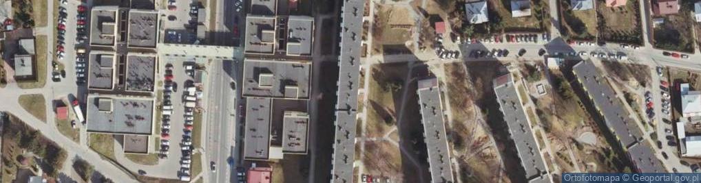 Zdjęcie satelitarne Dziedzictwo i Krajoznawstwo Dzik