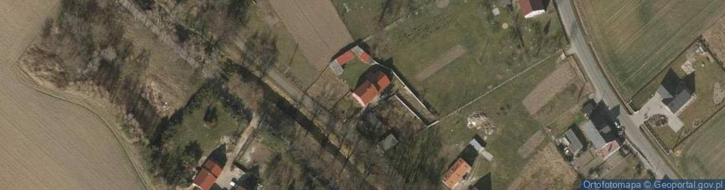 Zdjęcie satelitarne Dzik S.Transport, Dzierżków