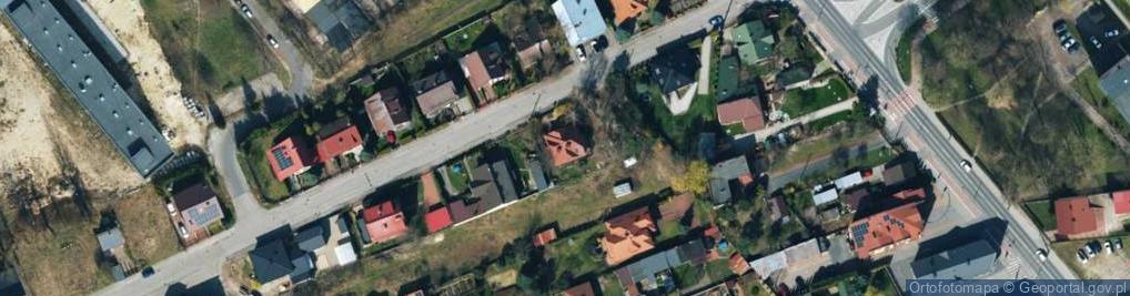 Zdjęcie satelitarne Dzikabrzoza