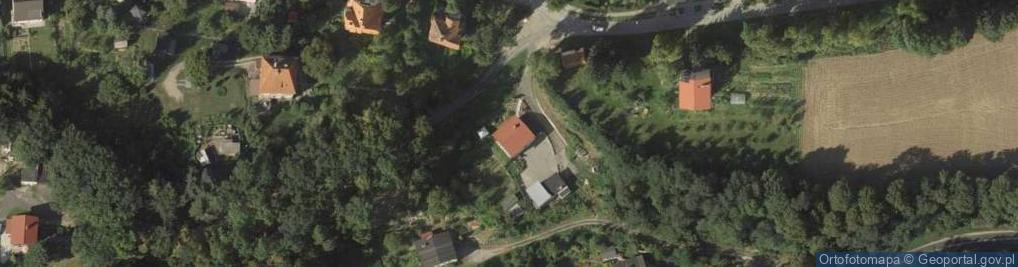 Zdjęcie satelitarne Dżygura Witalis TRANspółka Drog.Osob., Lwówek Śl.