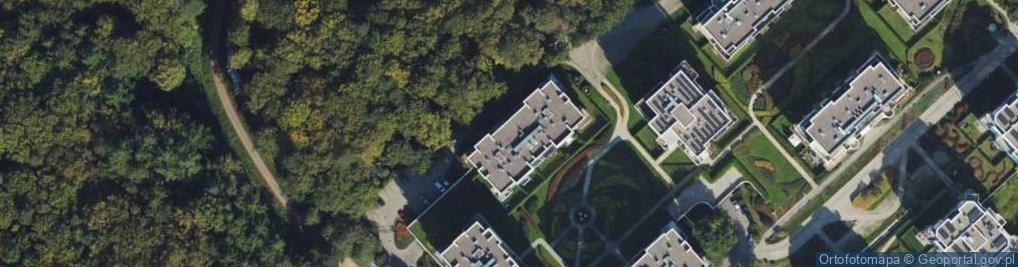 Zdjęcie satelitarne Edyta Misiak