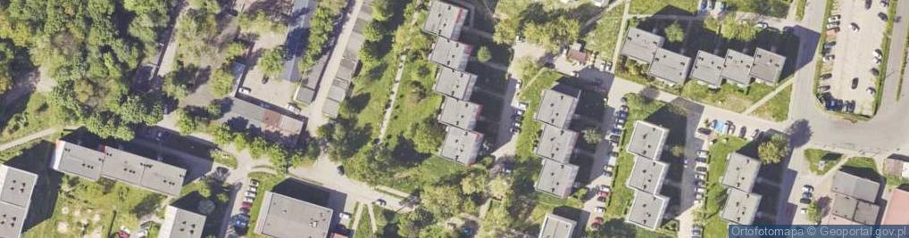 Zdjęcie satelitarne Edyta Zygmunt
