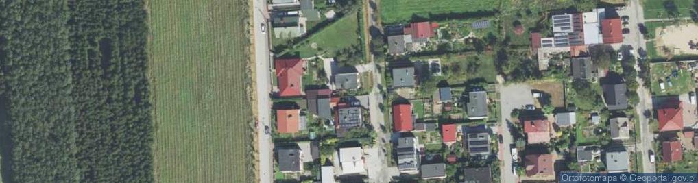 Zdjęcie satelitarne Efekt