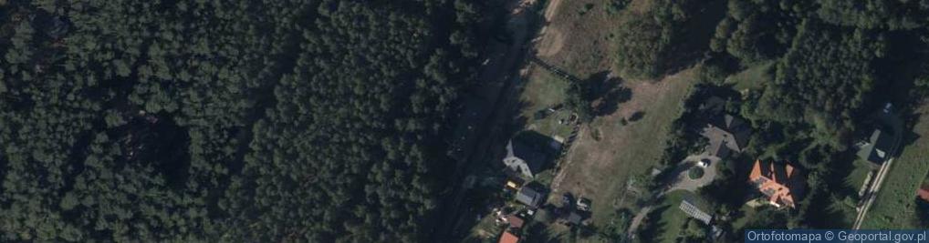 Zdjęcie satelitarne Ekosystem