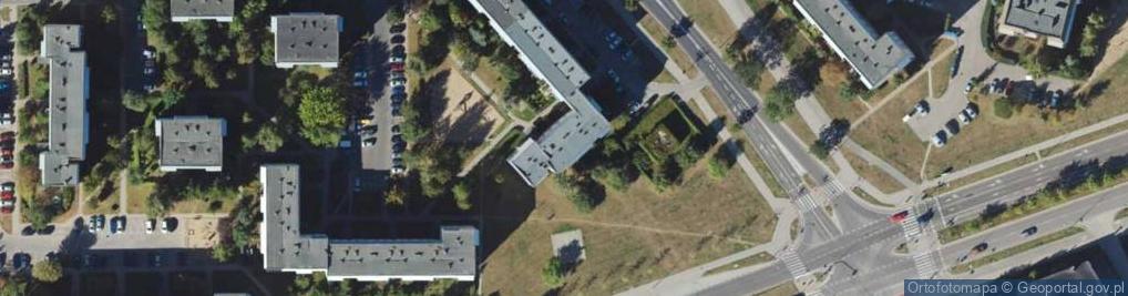 Zdjęcie satelitarne El Pro