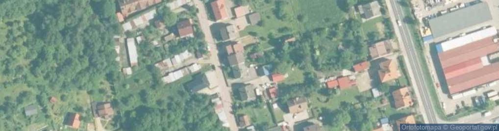 Zdjęcie satelitarne Elżbieta Cach - Działalność Gospodarcza
