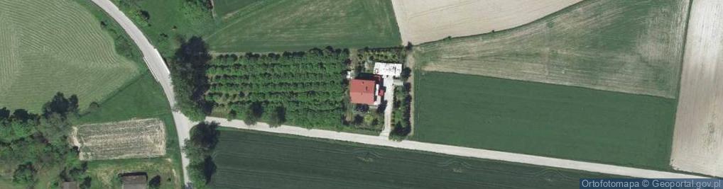 Zdjęcie satelitarne Elżbieta Wojciechowska - Działalność Gospodarcza