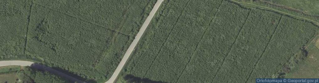 Zdjęcie satelitarne Emi-Kar Gorzelnia Aneta Kruczek