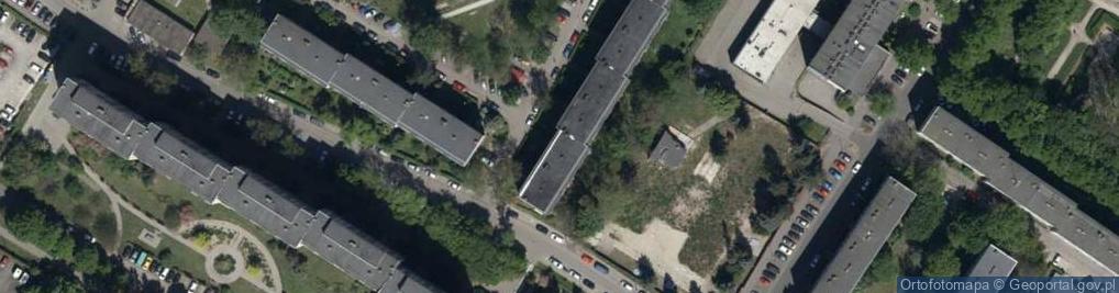 Zdjęcie satelitarne Enigma