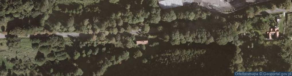Zdjęcie satelitarne Ewa Jaworska Przedsiębiorstwo Usługowe Novix