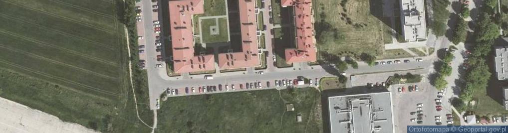 Zdjęcie satelitarne Ewa Różańska Biuro Współpracy z Nauką i Biznesem