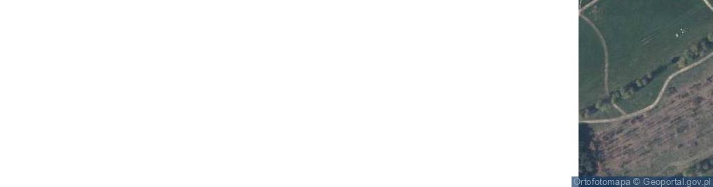 Zdjęcie satelitarne Farma Strusi Afrykańskich Wiesław Kubasik Romuald Palma