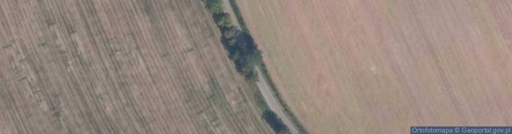 Zdjęcie satelitarne Ferma Drobiu Piaski A Bączkowski i Spółka [ w Likwidacji