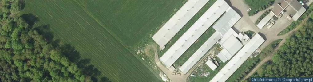 Zdjęcie satelitarne Ferma Drobiu