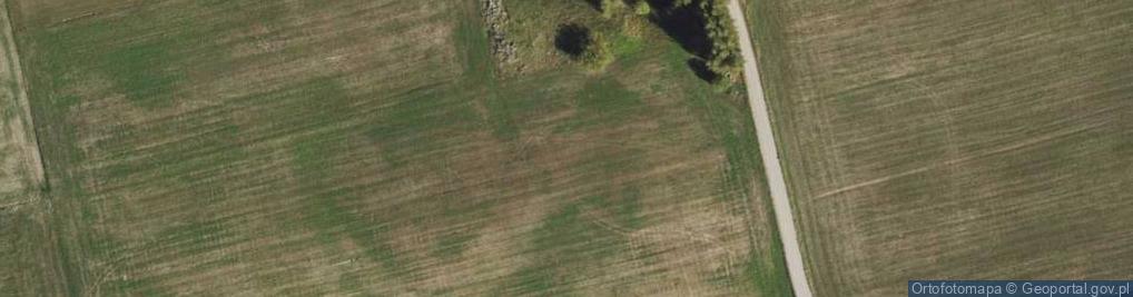 Zdjęcie satelitarne Ferma Królików Danuta i Andrzej Józef Kwiecień