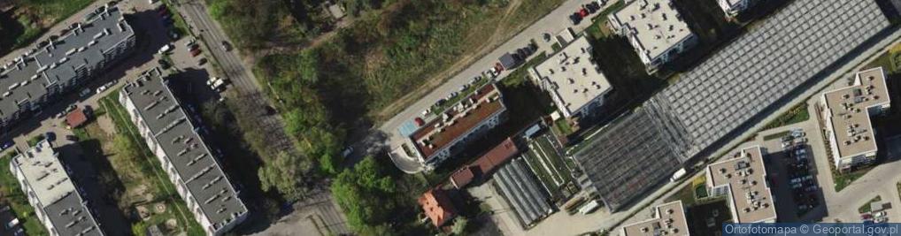 Zdjęcie satelitarne Fioli Irena Moczyńska