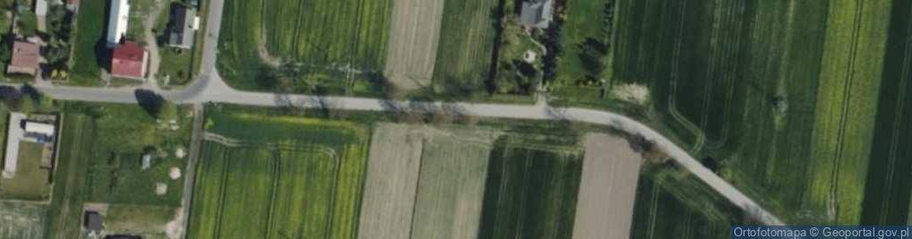 Zdjęcie satelitarne Firma Andrew S Art Kałucki Andrzej Górski Andrzej