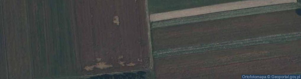 Zdjęcie satelitarne Firma Handlowa w Szewnicy