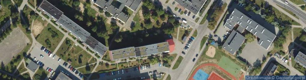 Zdjęcie satelitarne Firma Handlowa Warzywko