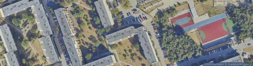 Zdjęcie satelitarne Firma Handlowa