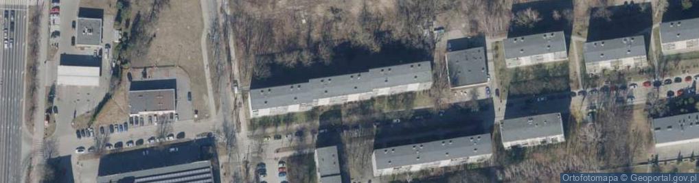 Zdjęcie satelitarne Firma Handlowa