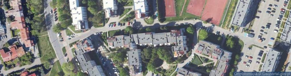 Zdjęcie satelitarne Firma Handlowa