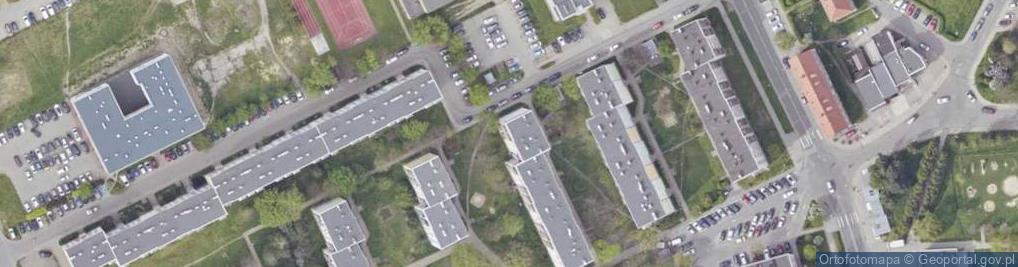 Zdjęcie satelitarne Firma Handlowa