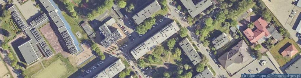 Zdjęcie satelitarne Firma Handlowa