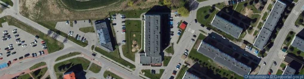 Zdjęcie satelitarne Firma Handlowa