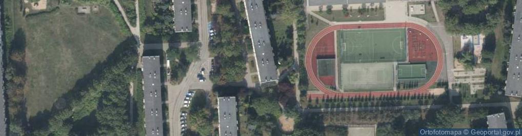 Zdjęcie satelitarne Firma Handlowa