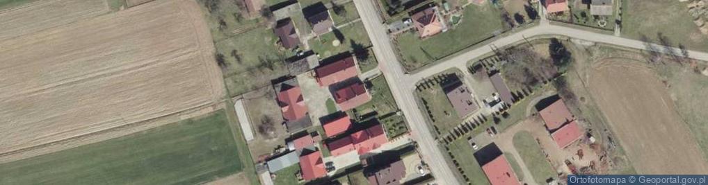 Zdjęcie satelitarne Firma Handlowo - Usługowa Pegaz Król Aleksander