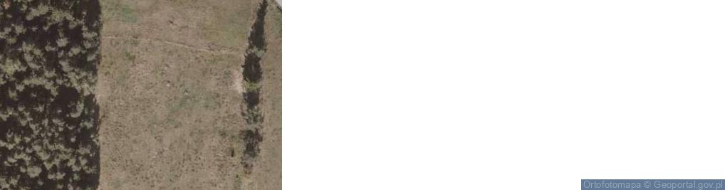 Zdjęcie satelitarne Firma Handlowo-Usługowa Piotr Zalewski