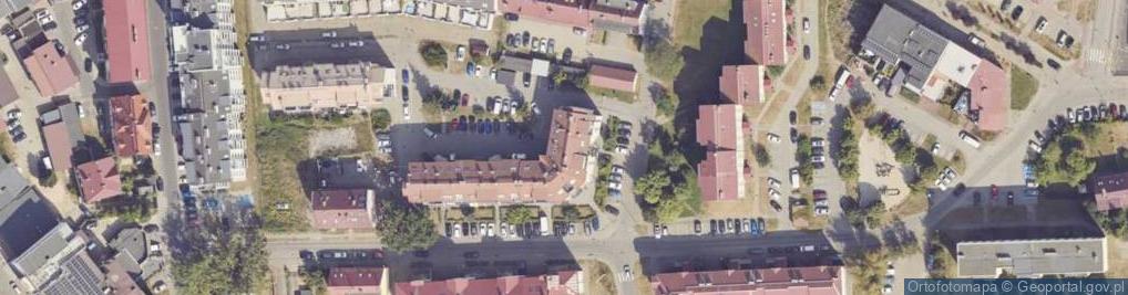 Zdjęcie satelitarne Firma Handlowo Usługowa Young Collection