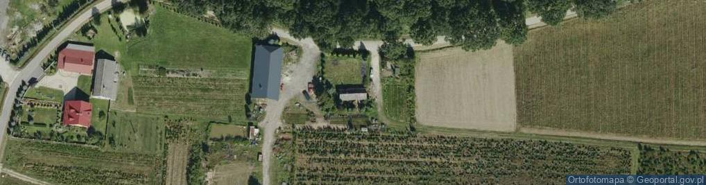 Zdjęcie satelitarne Firma Ogrodnicza Krzewy Ozdobne i Choinki Świąteczne