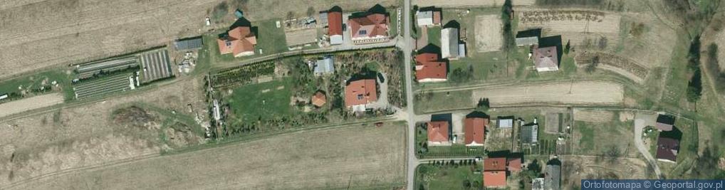 Zdjęcie satelitarne Firma Ogrodniczo Produkcyjno Handlowo Usługowa Daglezja