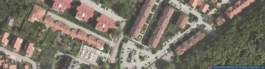 Zdjęcie satelitarne Firma Porządkowa Połysk
