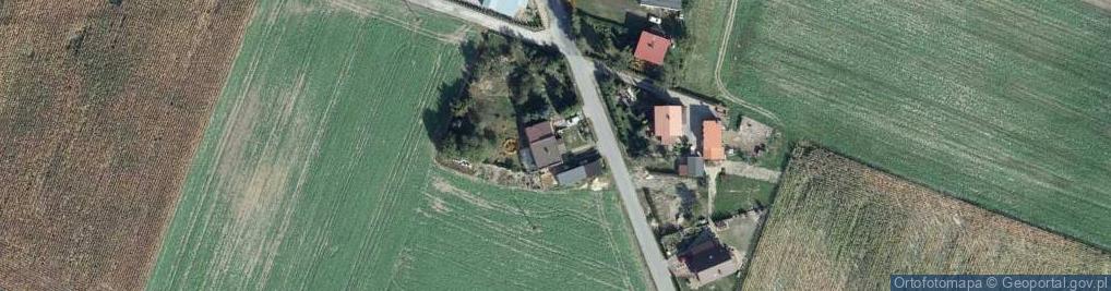 Zdjęcie satelitarne Firma Transportowo-Handlowa - Zielińska Iwona- Skąpe 75, 87-140 Chełmża