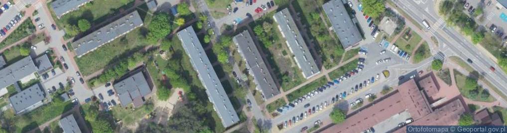 Zdjęcie satelitarne Firma Usługowa