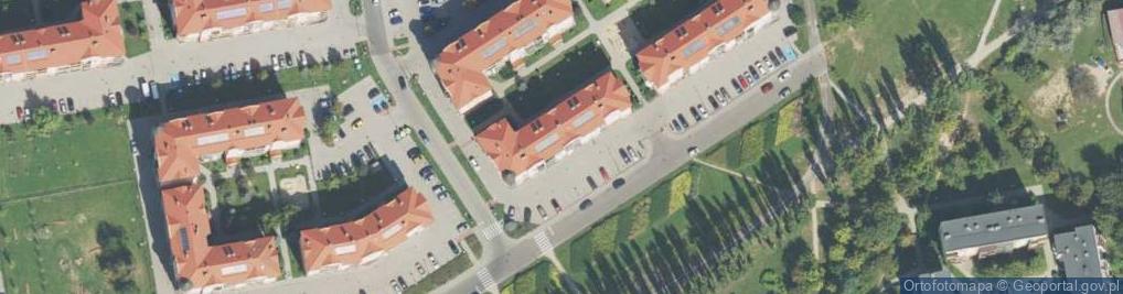 Zdjęcie satelitarne Firma Usługowa