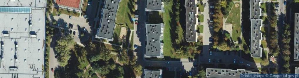 Zdjęcie satelitarne Firma Zarząd