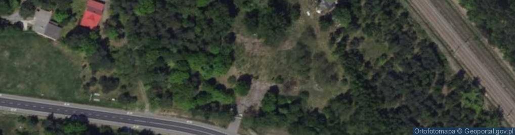 Zdjęcie satelitarne Fortuna Duo