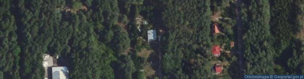 Zdjęcie satelitarne Fox Cafe