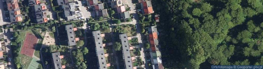 Zdjęcie satelitarne Fro Software Tomasz Sikora