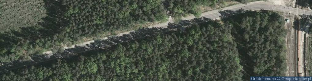 Zdjęcie satelitarne Frogs Robert Żabczyński