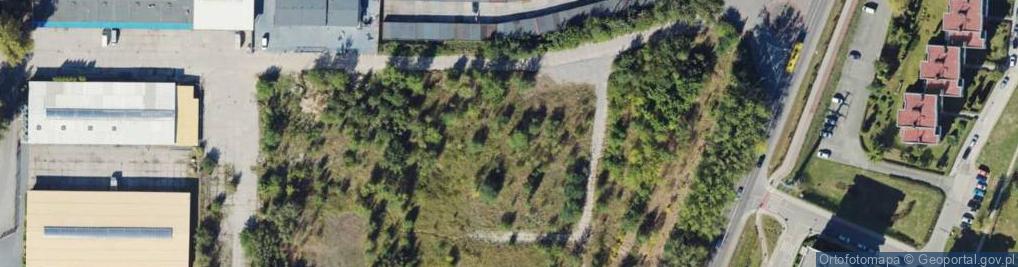 Zdjęcie satelitarne Galileo