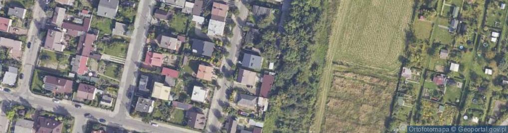 Zdjęcie satelitarne Georgiev