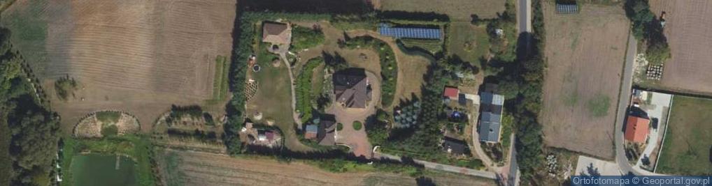 Zdjęcie satelitarne Gold Butterfly Otylia Jędrzejczak