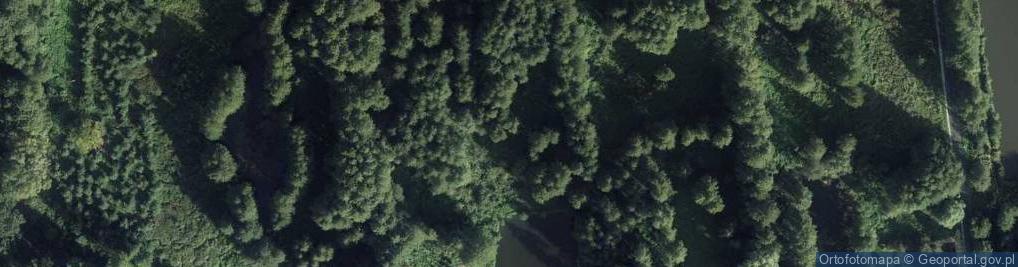 Zdjęcie satelitarne Gołumski Paweł Usługi Transportowe