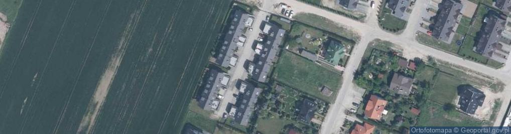 Zdjęcie satelitarne Gorilla King Piotr Słodyczko