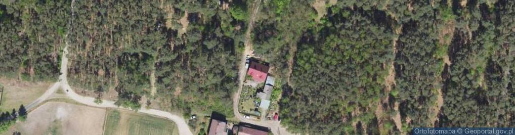 Zdjęcie satelitarne Gospodarka Leśna Zenon Szewczyk